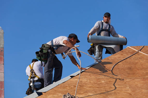 Best New Roof Installation  in Holton, KS