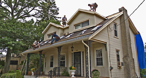 Best Roof Installation Near Me  in Holton, KS